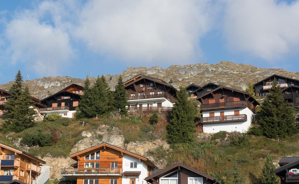 Harmony Eg Sued-Ost Apartment Bettmeralp Bagian luar foto